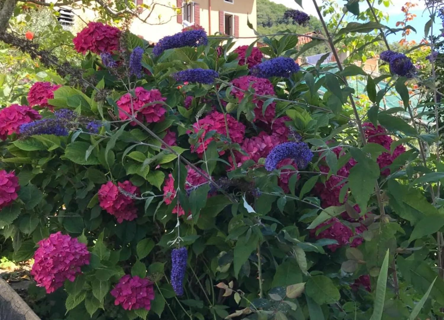 別荘 Piano  Casa Castanea - Garda Hideawayヴィラ イタリア