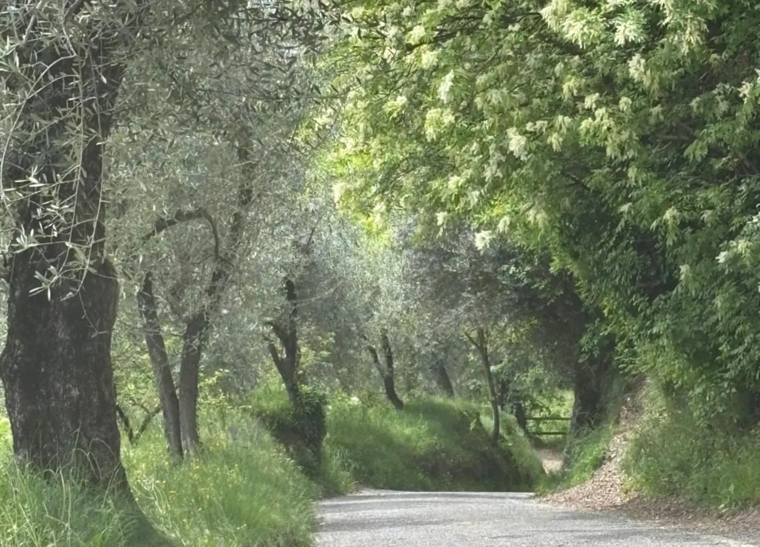 Casa Castanea - Garda Hideaway Villa Piano  Piano (Bergamo)